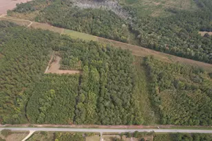 7+/- Acres Marion Church Rd, Salters, SC 29590 - Photo 1