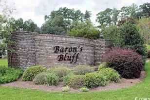 164 Barons Bluff Dr, Conway, SC 29526 - Photo 40