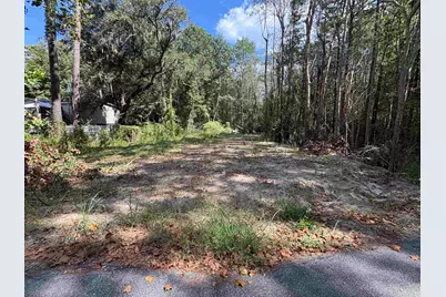 Tbd Waccamaw Lake Dr., Conway, SC 29526 - Photo 2