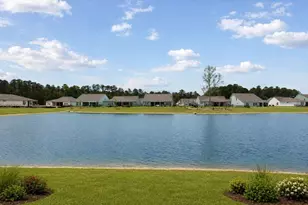 2517 Canopy Cove, Longs, SC 29568 - Photo 12