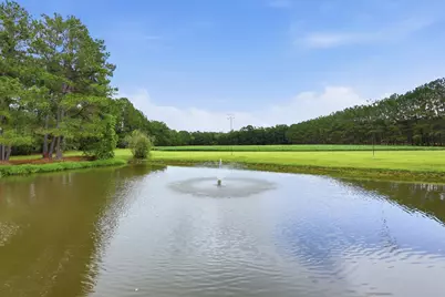 220 Boyd Rd, Andrews, SC 29510 - Photo 50