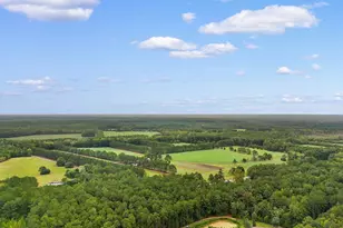 220 Boyd Rd, Andrews, SC 29510 - Photo 92