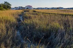 1421 Circle Dr, North Myrtle Beach, SC 29582 - Photo 36
