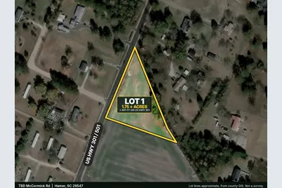 Tbd Highway 301, Hamer, SC 29547 - Photo 2