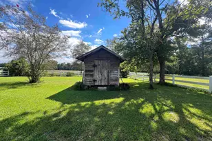 225 Richburg Rd, Greeleyville, SC 29056 - Photo 32