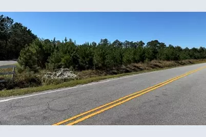 5.0 Acs Old Pee Dee Rd., Georgetown, SC 29440 - Photo 4