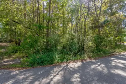 Tbd Barnes Rd., Andrews, SC 29510 - Photo 16