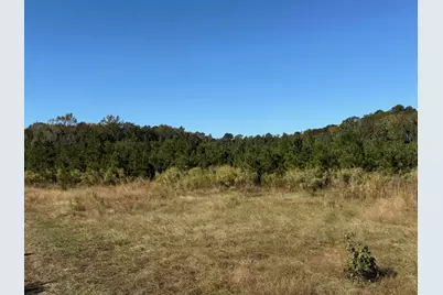 228.79 Acres Back Swamp Rd, Lynchburg, SC 29080 - Photo 4