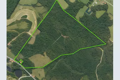 228.79 Acres Back Swamp Rd, Lynchburg, SC 29080 - Photo 1