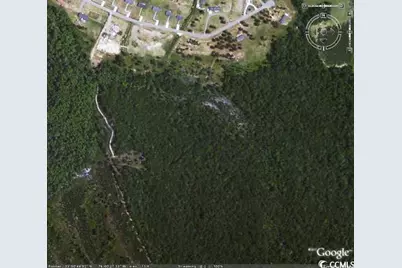 Bryants Landing Rd., Conway, SC 29526 - Photo 1