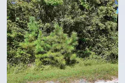 Lot 9 E Wisteria Dr., Hemingway, SC 29554 - Photo 1