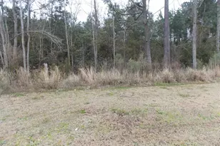 S Highway 701 South, Conway, SC 29527 - Photo 1