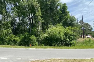 Tbd Liz Ln, Conway, SC 29527 - Photo 1