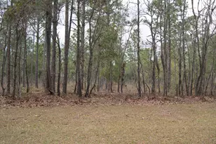 73 Pineberry Dr, Georgetown, SC 29440 - Photo 1