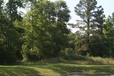 Tbd Leisure Ln., Myrtle Beach, SC 29588 - Photo 1