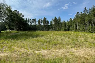 870 Sioux Swamp Dr, Conway, SC 29527 - Photo 1
