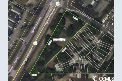 695 Pendergrass Ave., Murrells Inlet, SC 29576 - Photo 1
