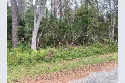 Golfview Circle, Johnsonville, SC 29555 - Photo 1