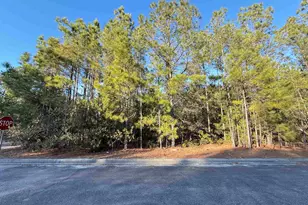 153 Bridge View Rd, Georgetown, SC 29440 - Photo 1