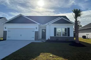 399 Lifestyle Ct, Surfside Beach, SC 29575 - Photo 1