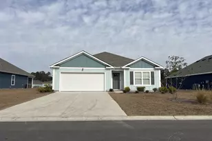 235 Teddy Bear Circle, Conway, SC 29526 - Photo 1