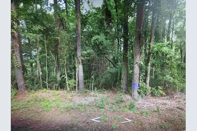 Tbd Golfview Circle, Johnsonville, SC 29555 - Photo 1
