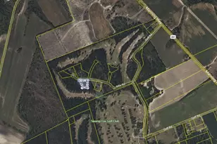 Tbd Rifle Rd, Greeleyville, SC 29056 - Photo 1