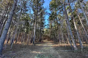 Tbd Rocky Ford Rd, Salters, SC 29590 - Photo 1