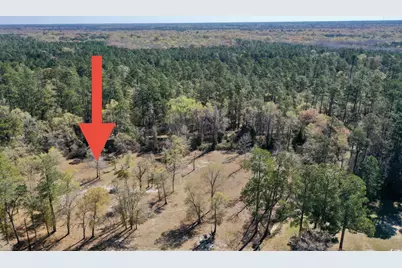 Tbd Nichols St., Nichols, SC 29581 - Photo 1