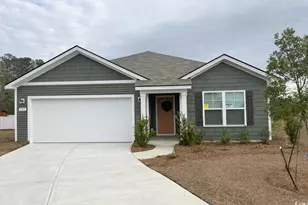 206 Red Buckeye Dr, Conway, SC 29527 - Photo 1