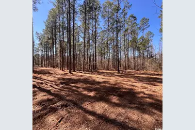 0 Goose Bay Rd., Loris, SC 29569 - Photo 1