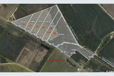 Tract 2 Borkowitz Rd., Scranton, SC 29591 - Photo 1