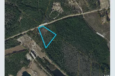 Tbd Mw Stroud Rd., Nichols, SC 29581 - Photo 1