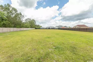 908 Hornbeam Ct, Loris, SC 29569 - Photo 38