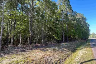 Tbd Buck Dr, Georgetown, SC 29440 - Photo 1