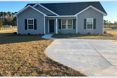6704 Joyner Swamp Rd., Galivants Ferry, SC 29544 - Photo 1