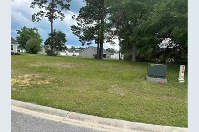 302 Chaff Ct., Georgetown, SC 29440 - Photo 1