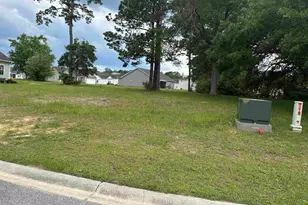 302 Chaff Ct, Georgetown, SC 29440 - Photo 1