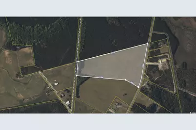 0 Morrisville Rd., Andrews, SC 29510 - Photo 1