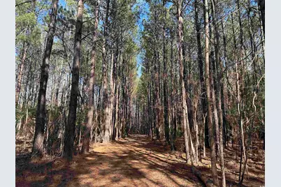 Tbd Union Church Rd., Salters, SC 29590 - Photo 1