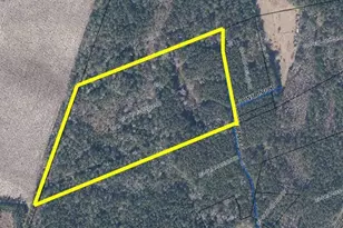 Tbd Thatchpalm Ct, Georgetown, SC 29440 - Photo 1