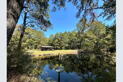 5.47 Acres-Tbd High Hill Rd., Scranton, SC 29591 - Photo 1