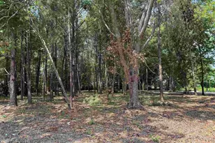 2 Lots - Tbd S Rosemary Ave, Andrews, SC 29510 - Photo 1