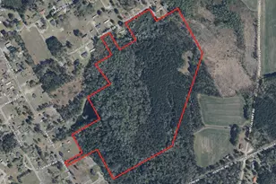 Tbd Thurgood Dr, Hamer, SC 29547 - Photo 1