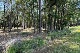 Lot 3 Hwy 668, Conway, SC 29526 - Photo 1