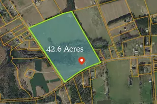 873 Rabon Rd, Aynor, SC 29511 - Photo 1