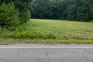 Lots 3 & 4 Anderson Bridge Rd, Coward, SC 29530 - Photo 1