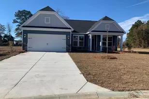 312 Palmetto Sand Loop, Conway, SC 29527 - Photo 1