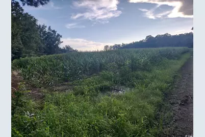 Tbd Beaver Rd., Hemingway, SC 29554 - Photo 1