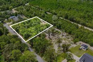 2236 Steep Landing Rd, Conway, SC 29526 - Photo 1